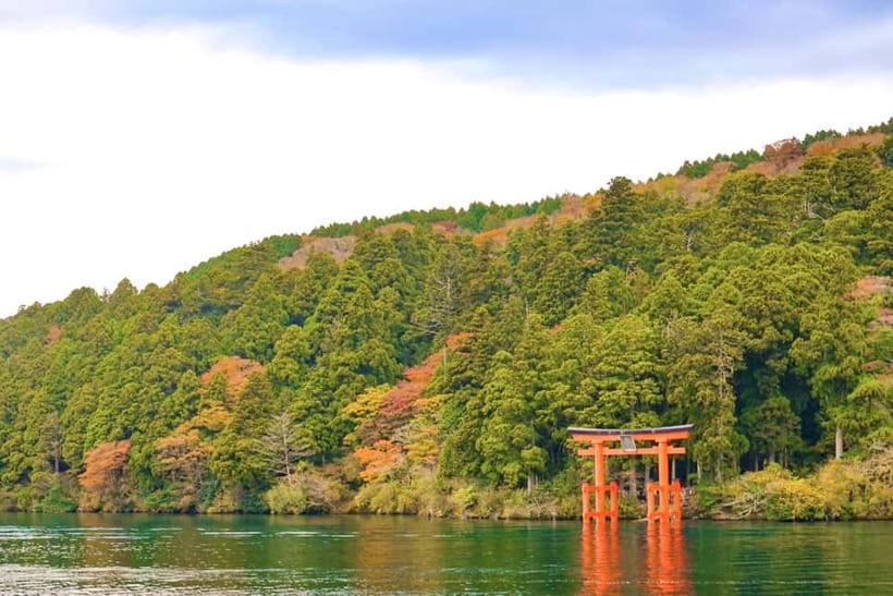 Fuji,Hakone Ropeway/Cruise/Shinkansen Ride w/lunch frm Tokyo - Who will enjoy this tour most?