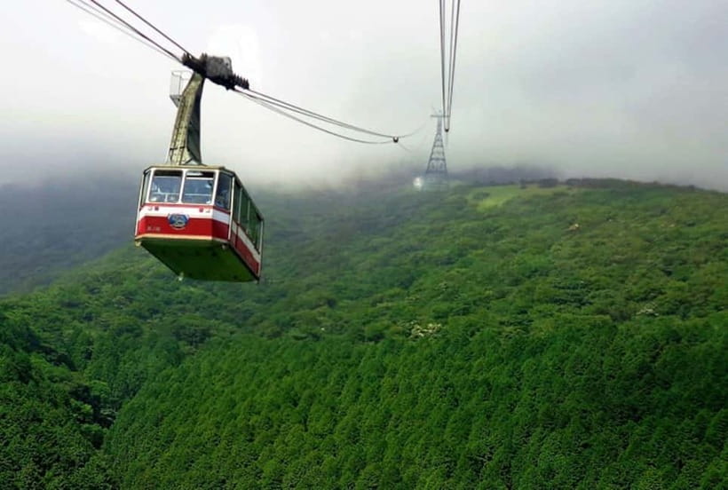 Fuji,Hakone Ropeway/Cruise/Shinkansen Ride w/lunch frm Tokyo - Sukiyaki Gozen and Gotemba rice