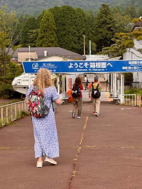 Fuji,Hakone Ropeway/Cruise/Shinkansen Ride w/lunch frm Tokyo - The Shinkansen finish from Odawara
