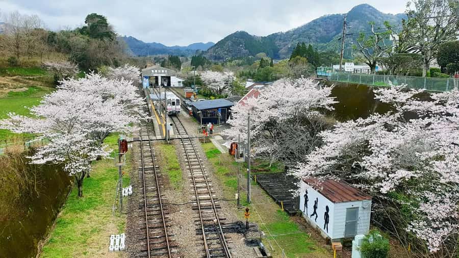 Fukuoka: Takachiho Gorge & Scenic Railway One Day Tour - The Amaterasu Railway in 30 minutes