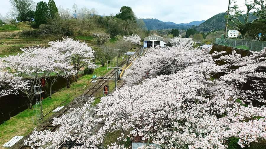 Fukuoka: Takachiho Gorge & Scenic Railway One Day Tour - Food, timing, and what to carry