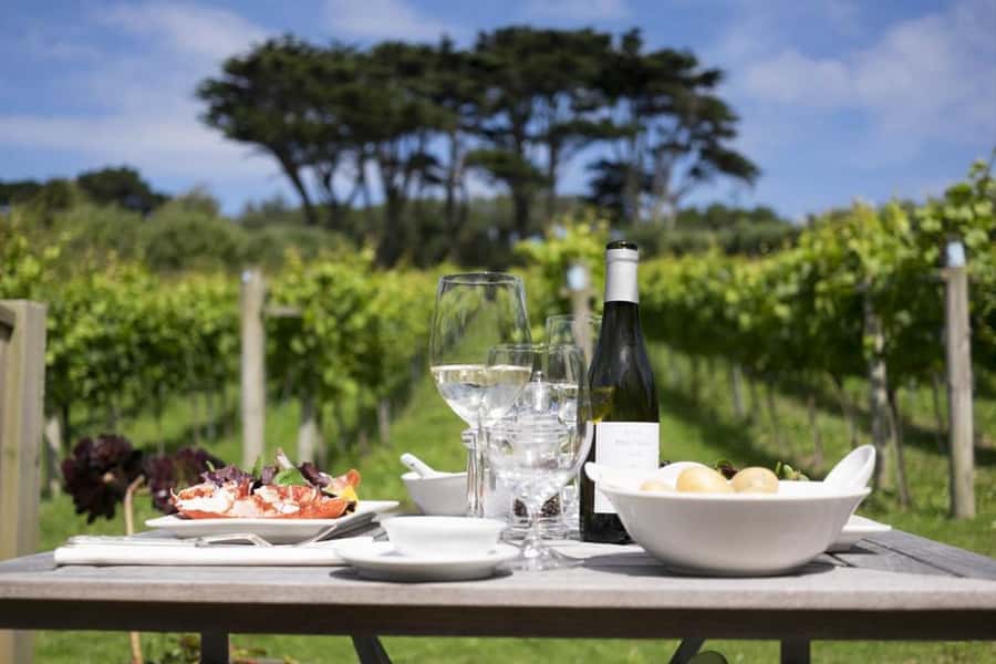 Full-Day Franschhoek tram Wine Tour from Cape Town - Should You Book the Franschhoek Tram Tour?