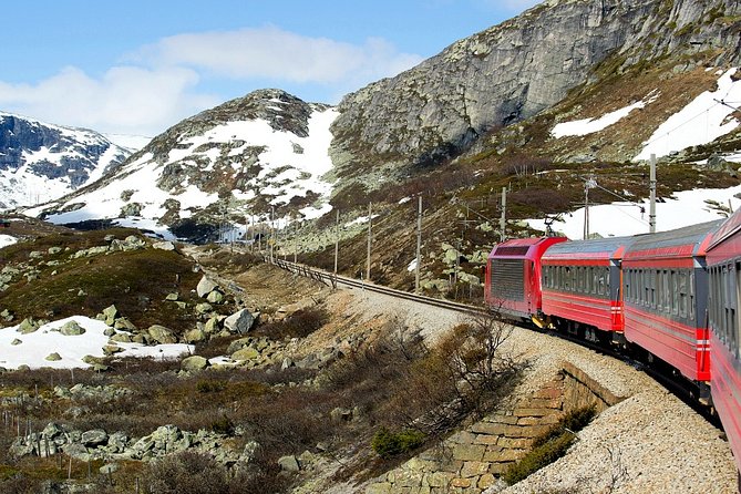 Full Day Guided Roundtrip From Bergen To Sognefjord With Flam Railway - What the private guide adds