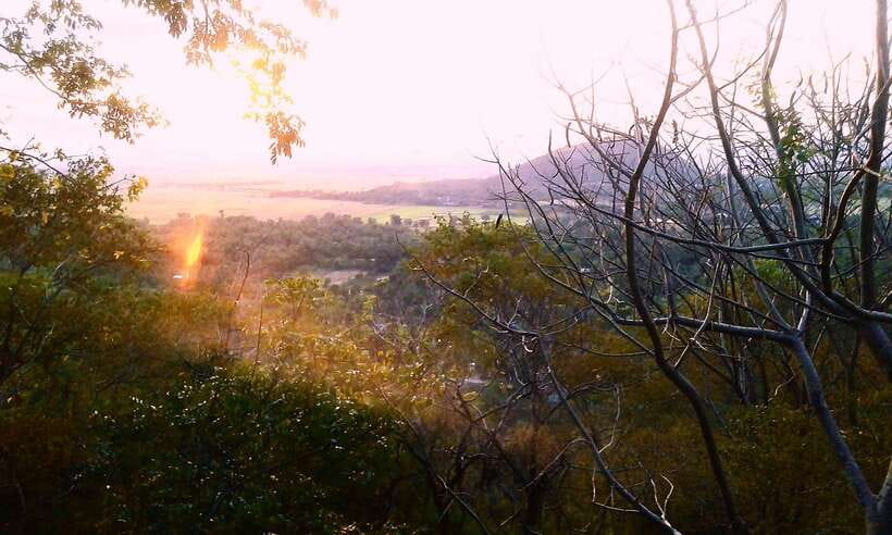Full-day: Handicraft, Bamboo train, Killing cave, Bat Cave - The original bamboo train and its simple appeal