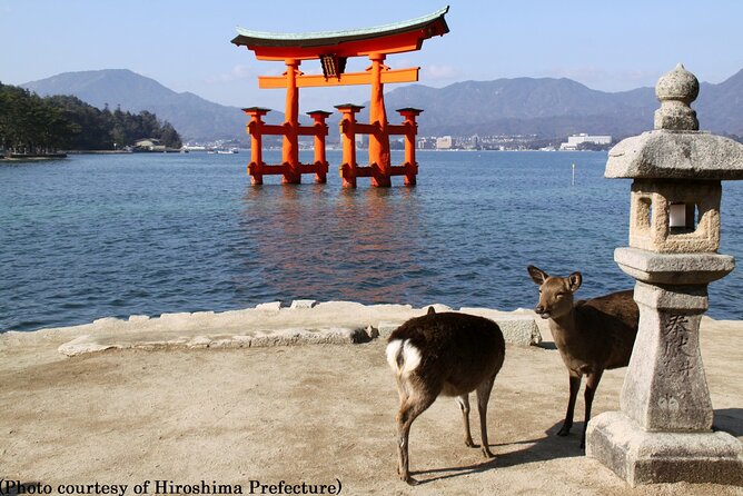 Full Day Hiroshima and Miyajima Tour by Bullet Train from Kyoto - The 7:30am start and Kyoto Station handoff
