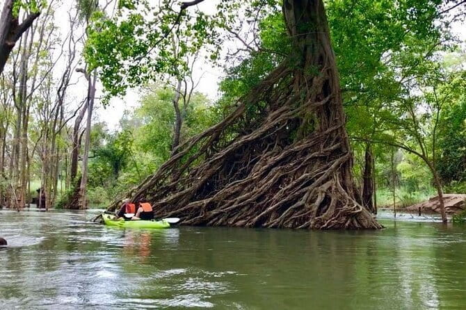 Full Day Tour from Siem Reap - Bamboo Train, Killing Cave & Sunset - What the $130 price covers