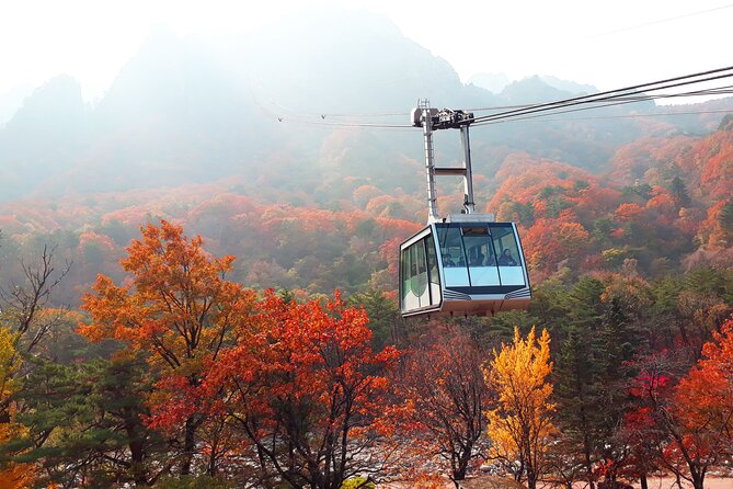Full-Day Tour in Mt. Seorak & Nami (+Rail Bike Option) - Why this day trip works from Seoul