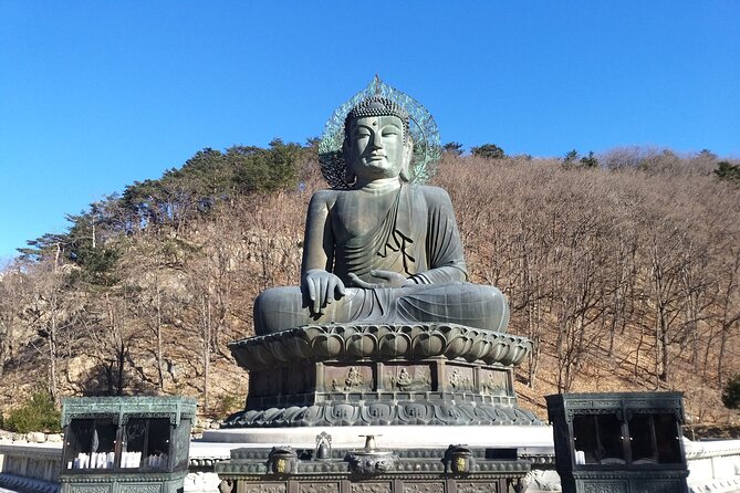 Full-Day Tour in Mt. Seorak & Nami (+Rail Bike Option) - Nami Island, tree-lined paths, and a gentler finish