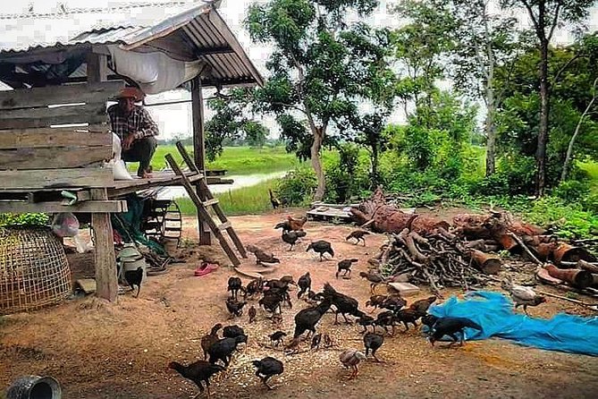 Full-day: Wat Banan. Old bamboo train. Bat Cave. Killing cave - Cycling, tuk-tuks, and what the $15 price covers