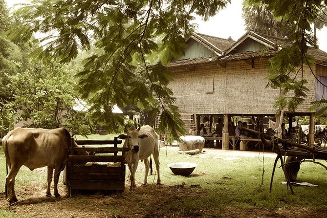 Full-day: Wat Banan. Old bamboo train. Bat Cave. Killing cave - Riding the old Bamboo Train near Ou Srauo Laou