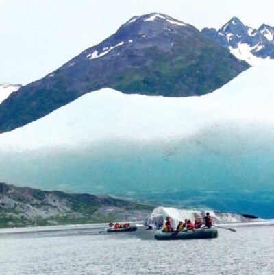 Girdwood: Bears, Trains, & Icebergs Tour
