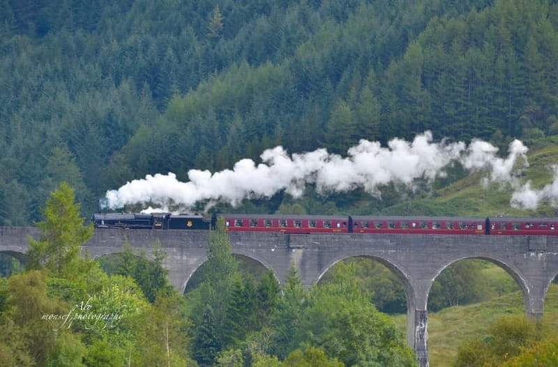 Glenfinnan: Glenaladale cruise, see the train and eagles 2hr - A two-hour route down Loch Shiel