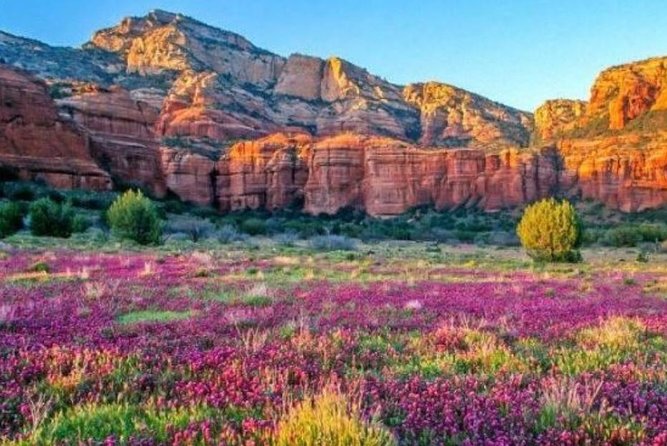 Grand Experience First Class Railroad Excursion Flagstaff - South Rim viewpoints by touring van
