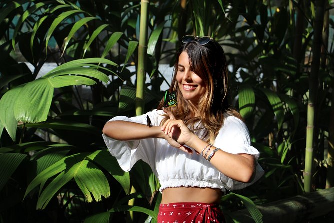 Grand Kuranda including Skyrail and Kuranda Scenic Railway - The Australian Butterfly Sanctuary