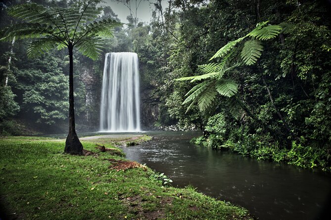 Grand Kuranda including Skyrail and Kuranda Scenic Railway - Rainforestation Nature Park and the Army Duck