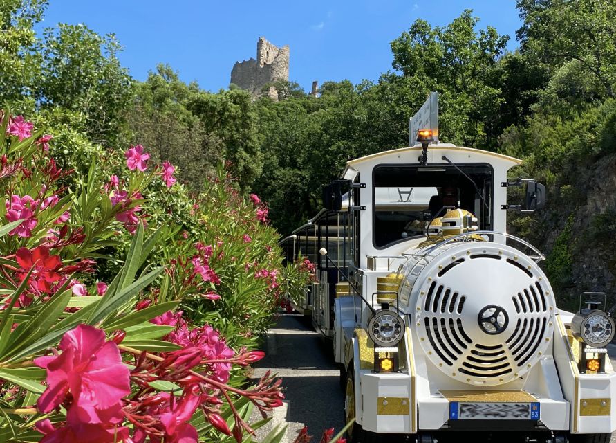 Grimaud: Guided Tour of Port Grimaud & Grimaud by Train - Exploring medieval Grimaud