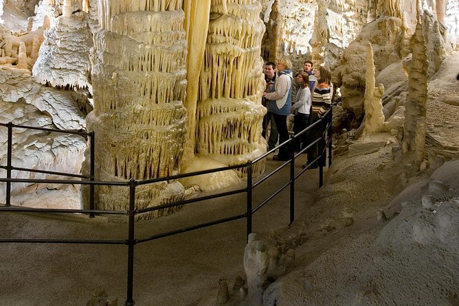 Group tour to Postojna Cave from Koper - with unique cave train - Why Postojna Cave makes a strong Koper excursion