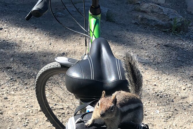 Guided Bike Tour on Historical Kettle Valley Railway at Myra Canyon & Wine Tour - What the bicycle portion feels like