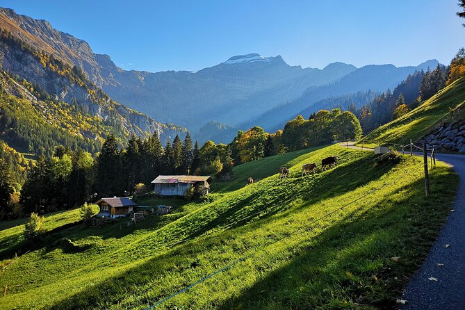 Guided Excursion to Jungfraujoch, Grindelwald and Lauterbrunnen from Lucerne - Inside the Ice Palace and Alpine Sensation