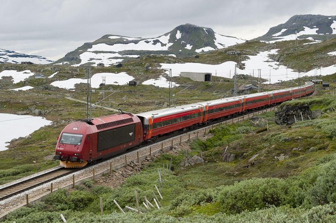 Guided tour - Viking Village, Nærøyfjord Cruise and Flåm Railway - Arriving in Flåm between water and rail