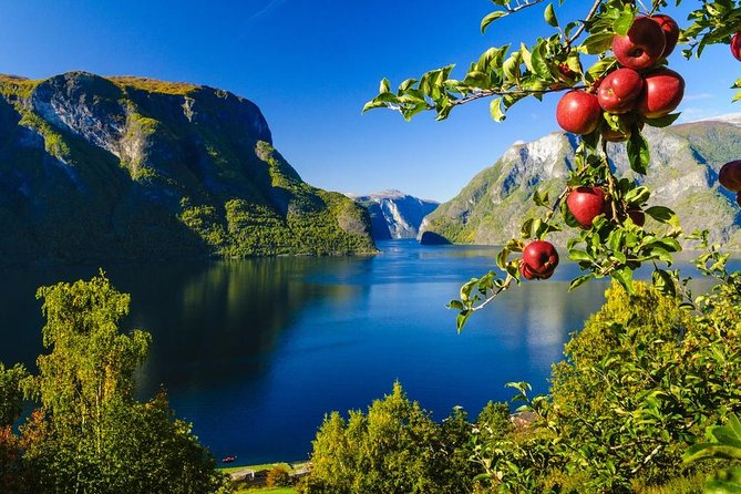 Guided tour - Viking Village, Nærøyfjord Cruise and Flåm Railway - The road from Bergen to Voss
