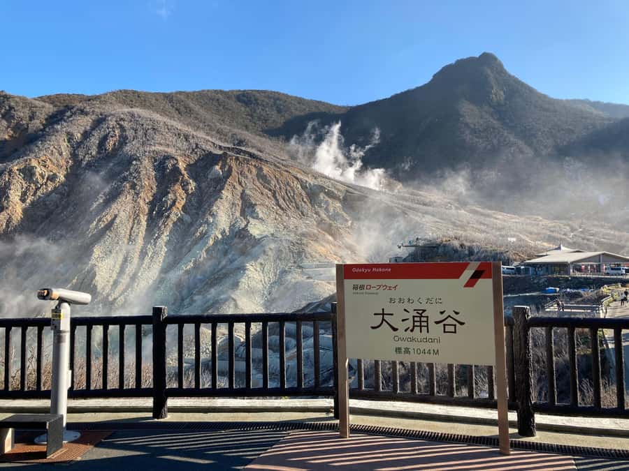 Hakone and Kamakura: 3-day Rail Pass - Lake Ashinoko and the sightseeing cruise