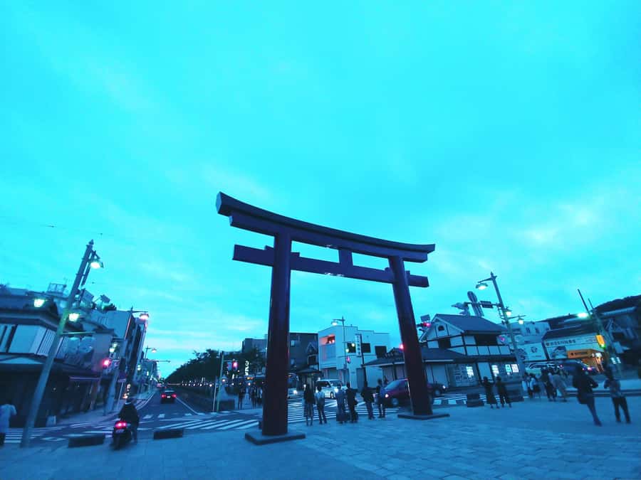 Hakone and Kamakura: 3-day Rail Pass - Starting at Shinjuku without losing your morning