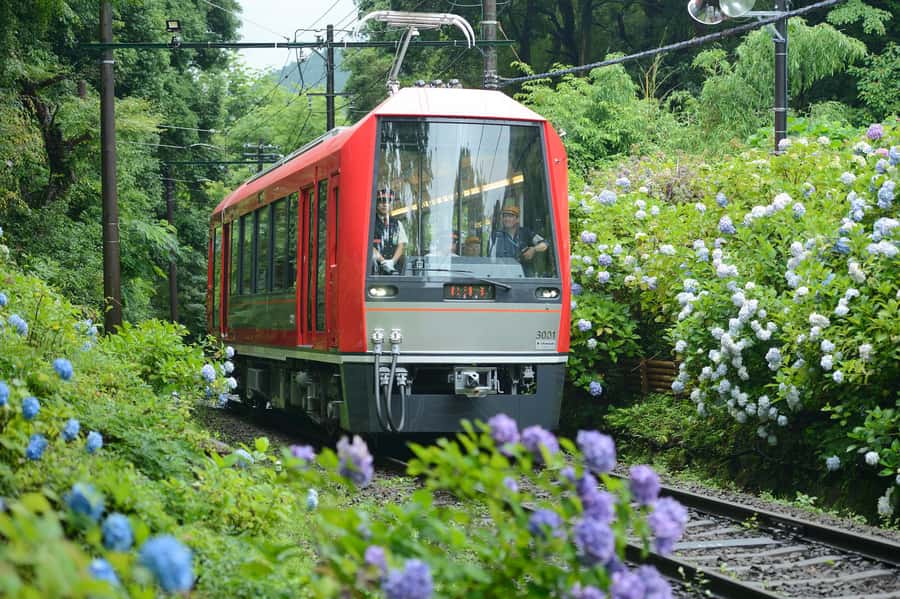 Hakone: Train Pass with Unlimited Rides & Activity Discounts - One ticket for Hakone’s famous mountain route