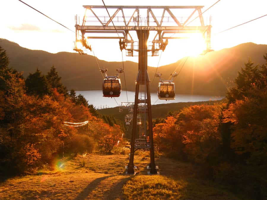Hakone: Train Pass with Unlimited Rides & Activity Discounts - Leaving Shinjuku and reaching Odawara