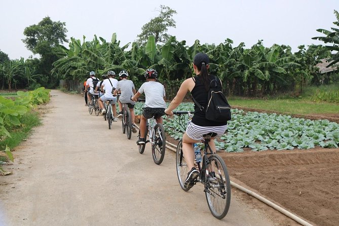 Half-Day Bicycle Tour Combine City & Countryside + Train Street - Riding beside West Lake