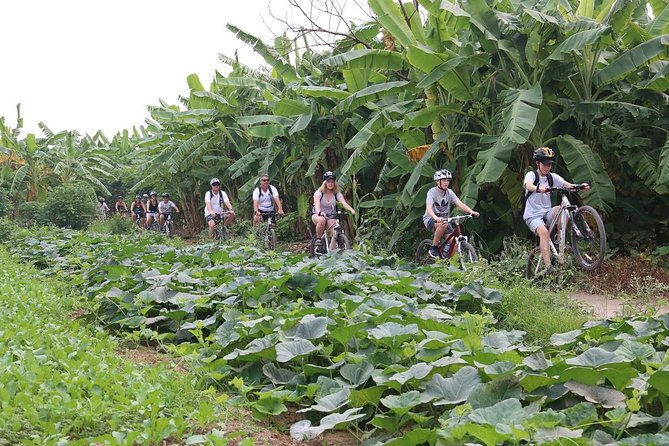 Half-Day Bicycle Tour Combine City & Countryside + Train Street - Passing Ba Dinh Square and Hanoi’s landmarks