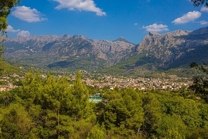 Half Day Guided Tour in Soller Train and Tram - Why the Palma to Sóller train matters