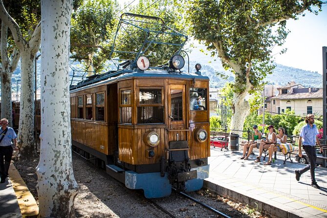Half Day Guided Tour in Soller Train and Tram - A guided format with a practical group size