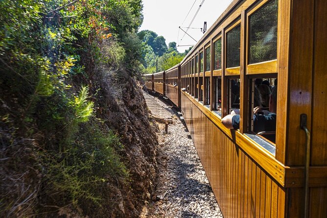 Half Day Guided Tour in Soller Train and Tram - The 25-minute tram ride to Port de Sóller