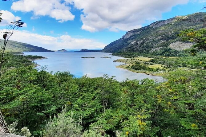 Half-Day Tierra del Fuego National Park with Train - The End of the World Train and its complicated past