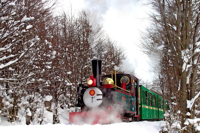Half-Day Tierra del Fuego National Park with Train - Bahia Lapataia and the Pan-American finish line