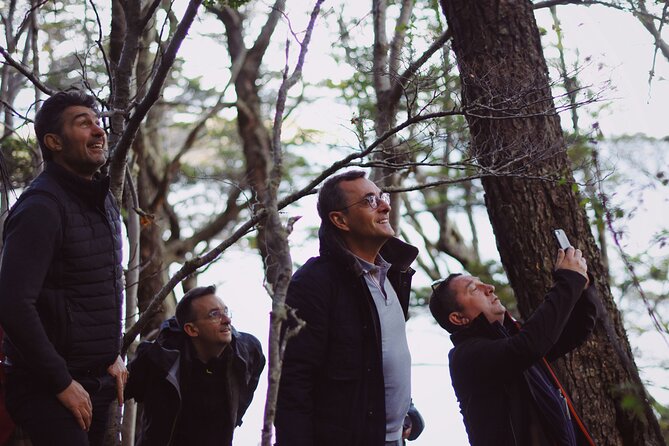 Half-Day Tierra del Fuego National Park with Train - Who should book this park tour?