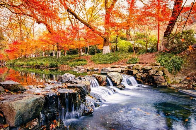 Hangzhou Jiuxi and Hupao Spring Hiking Day Trip from Shanghai by Bullet Train - Why this Hangzhou day trip works from Shanghai