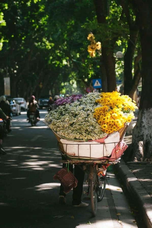 Hanoi: City Highlights Tour with Train Street & Hidden Gems - Tran Quoc Pagoda Beside West Lake