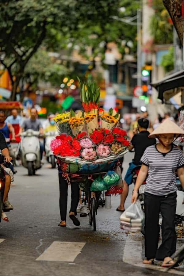 Hanoi: City Highlights Tour with Train Street & Hidden Gems - The Ho Chi Minh Complex and One Pillar Pagoda