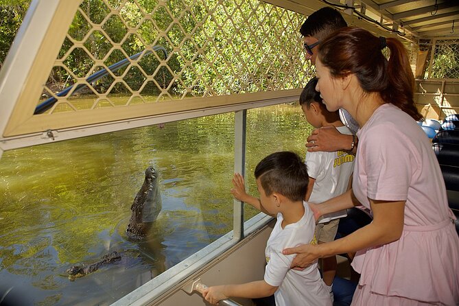 Hartley Crocodile Park with Kuranda, Skyrail Cableway and Train - Why this Port Douglas day works so well