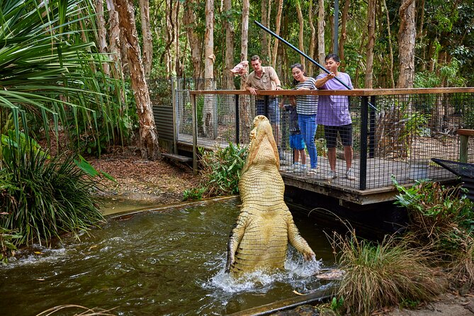 Hartley Crocodile Park with Kuranda, Skyrail Cableway and Train - Two hours in Kuranda
