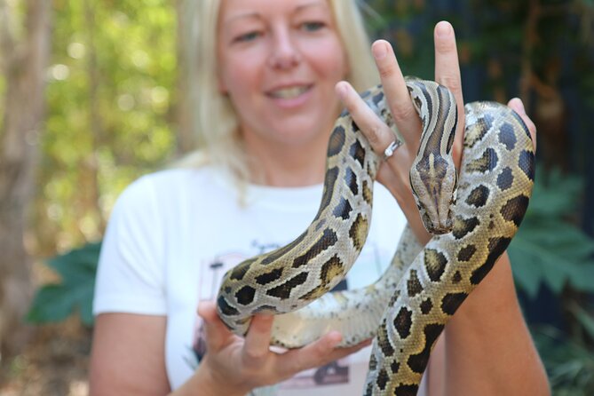 Hartley Crocodile Park with Kuranda, Skyrail Cableway and Train - Who should book this experience?