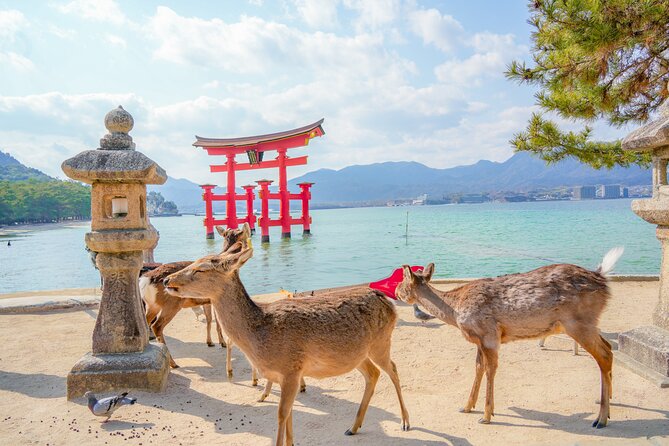 Hiroshima and Miyajima Full-Day Tour from Kyoto by Bullet Train - Four hours around Itsukushima Shrine