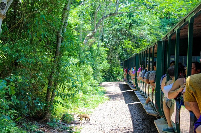 Iguazu Falls: Argentinian Side with Boat Ride, Jungle-truck and Train - The Upper Circuit gives you the wider picture