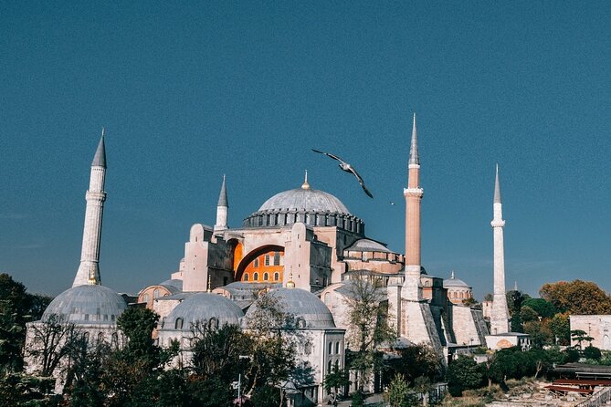 Istanbul Shore Excursion by TRAM: Half Day Private Tour from Port - Blue Mosque and the pottery demonstration