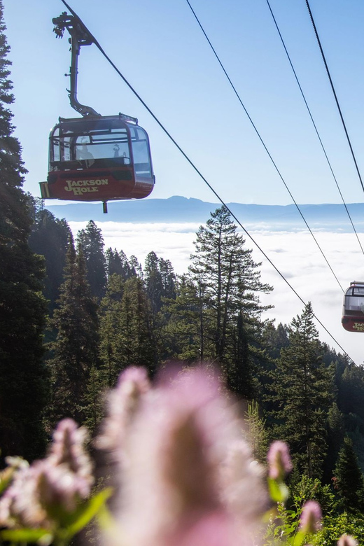Jackson Hole: Aerial Tram and Gondolas Sightseeing - The 12-minute ride to Rendezvous Mountain