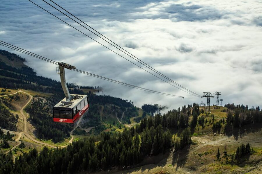 Jackson Hole: Aerial Tram and Gondolas Sightseeing - Trails for a longer mountain visit