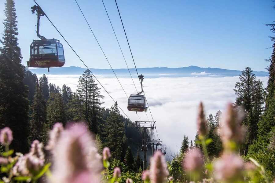 Jackson Hole: Aerial Tram and Gondolas Sightseeing - Timing, closures, and the best conditions