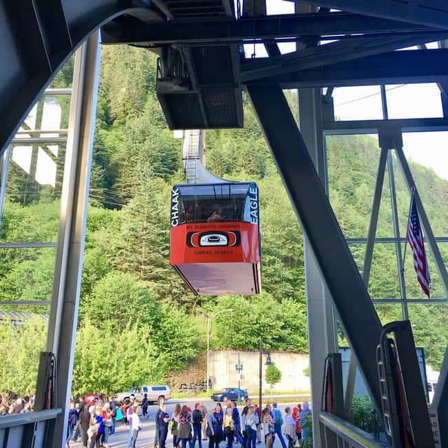 Juneau: Mount Roberts Tram Ride with App and Map - Totem poles and alpine paths above Juneau